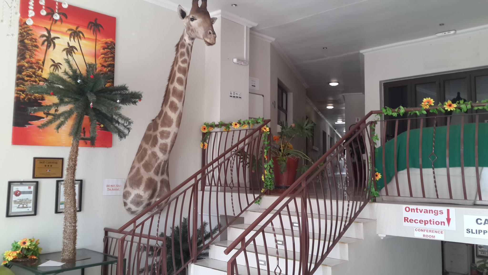Palm Valley Inn And Day Spa هارتبيسبورت المظهر الخارجي الصورة